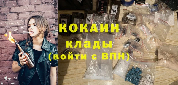 стаф Абинск
