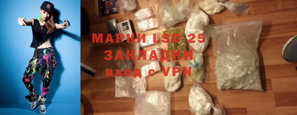 стаф Абинск